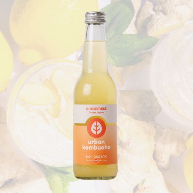 Urban kombucha thé vert gingembre